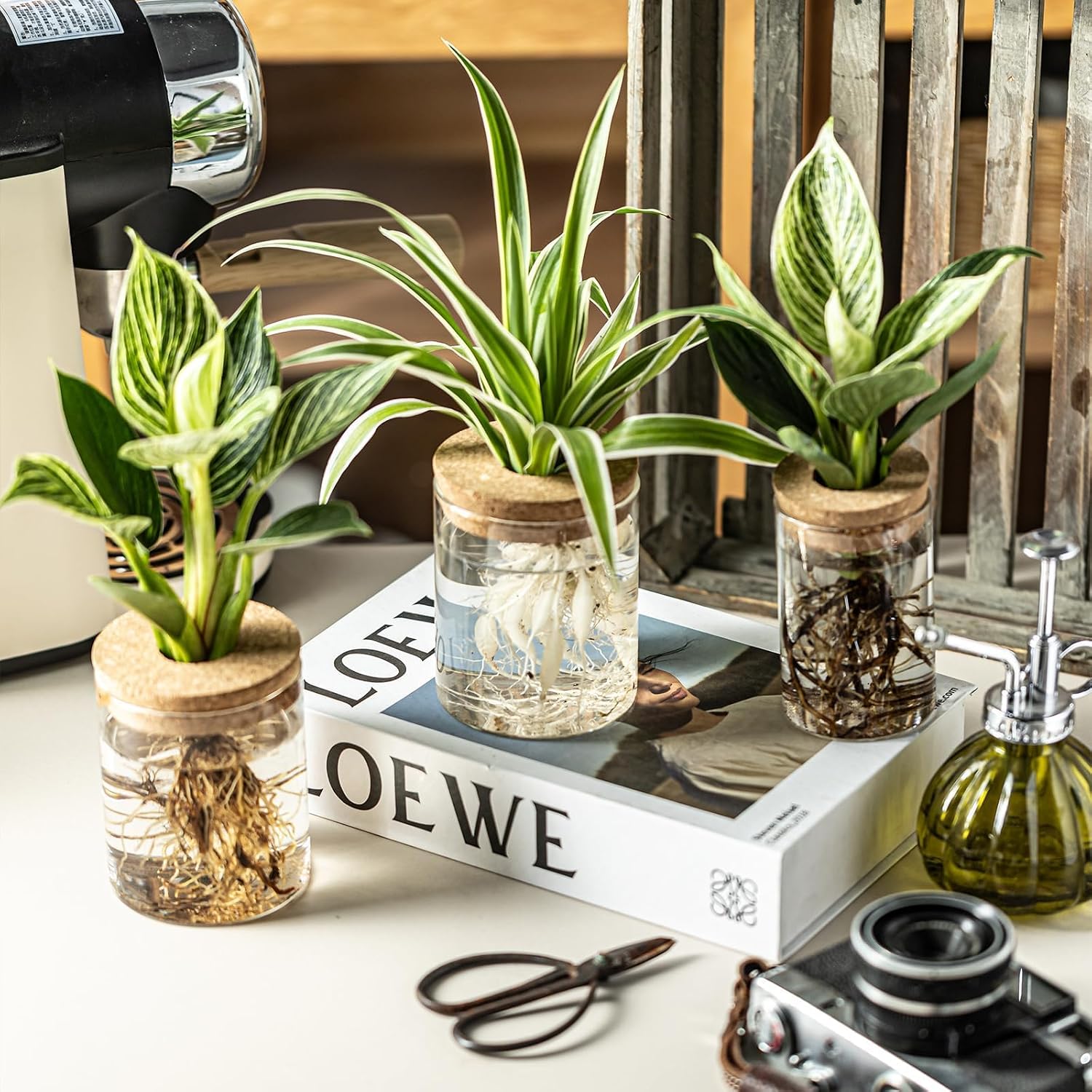 Glass Rooting Vases with Wooden Stand